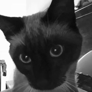 Meet your Posher, Alex